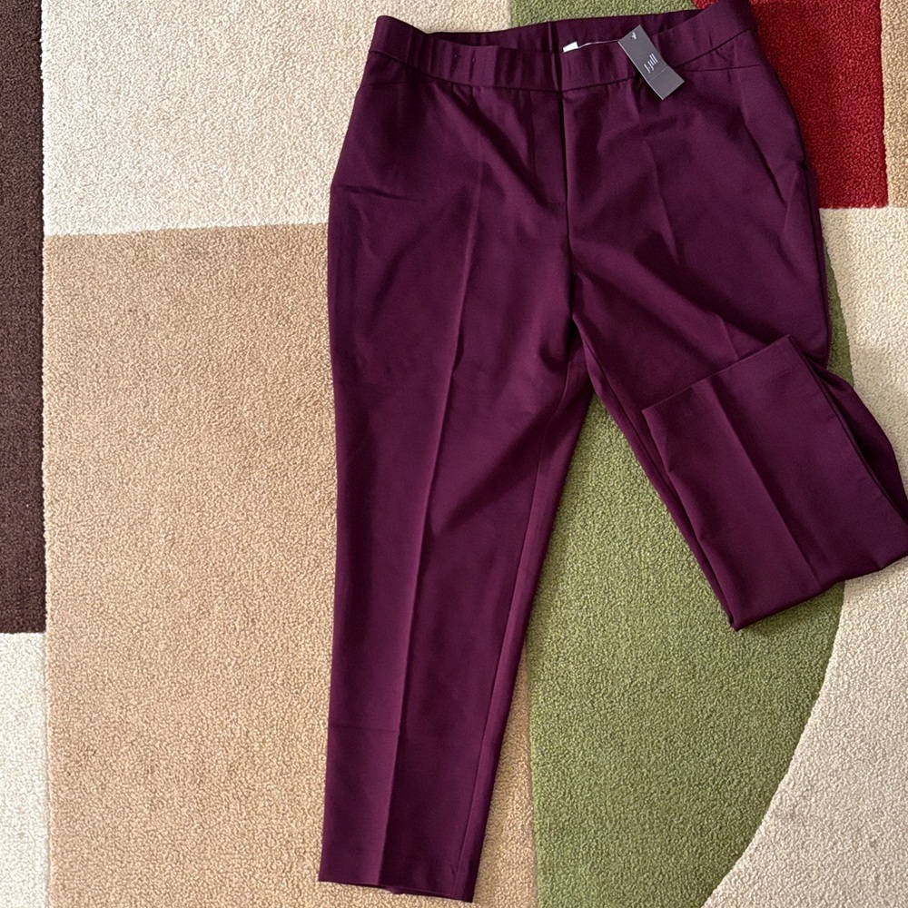 J. Jill Rich Burgundy Pants